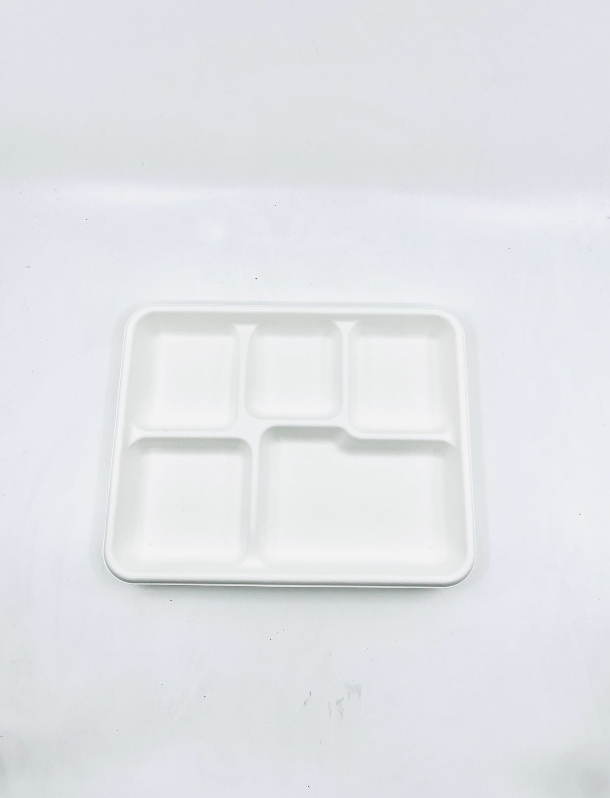 Paint Tray - 5 Compartment Plate Eco-Friendly Pkt10